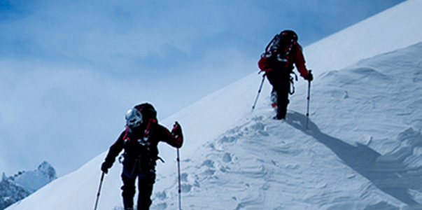 服务与支持 Banner